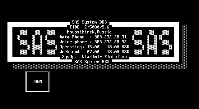Заставка SAS System BBS